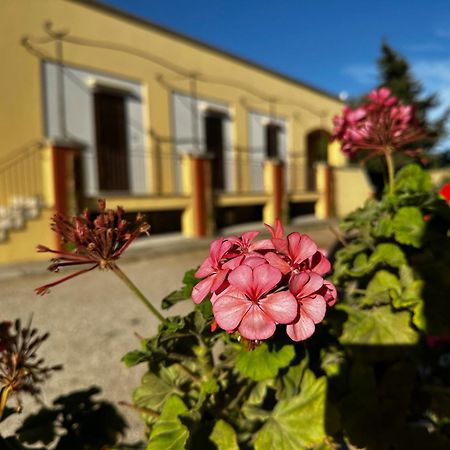 Agriturismo Il Trappeto Gallipoli Eksteriør billede
